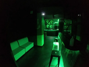Cactus Cruising Bar