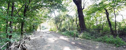 bosco delle rane milano