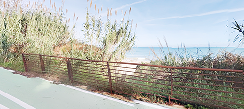 pineta spiaggia santo stefano