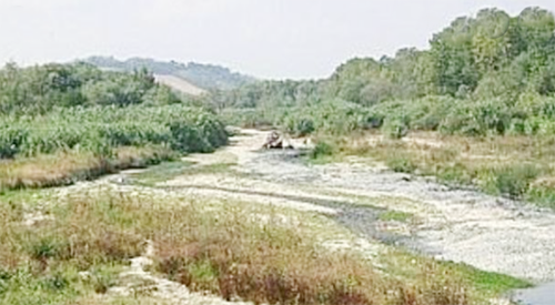spiaggia foce Cesano Senigallia