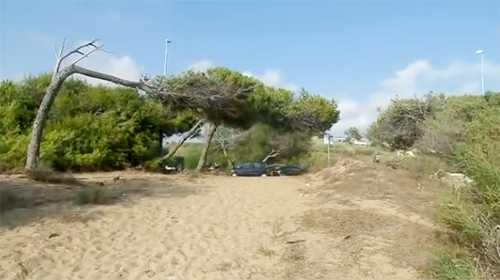 Dune San Leone Agrigento