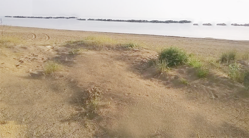 spiaggia dune di tollo chieti