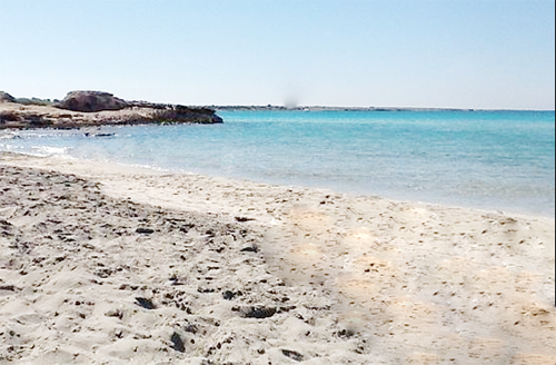 punta della suina gallipoli