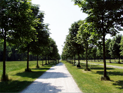 Parco Nord Bresso Milano