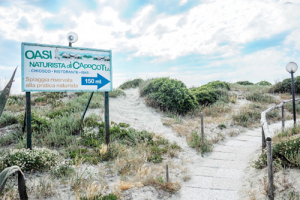 Spiaggia Capocotta Ostia