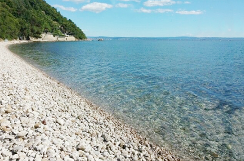 costa dei barbari trieste