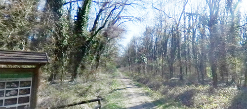 Bosco Panfilia Bologna