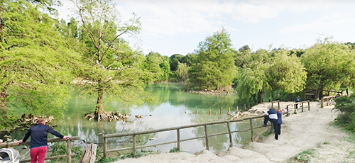 lago mariotti rimini 4