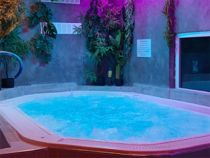 Hyppocampe Sauna Club