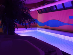 Sky Sauna Club