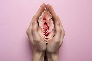 Organo sessuale femminile