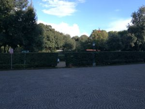 Bosco di Capodimonte – (Napoli)
