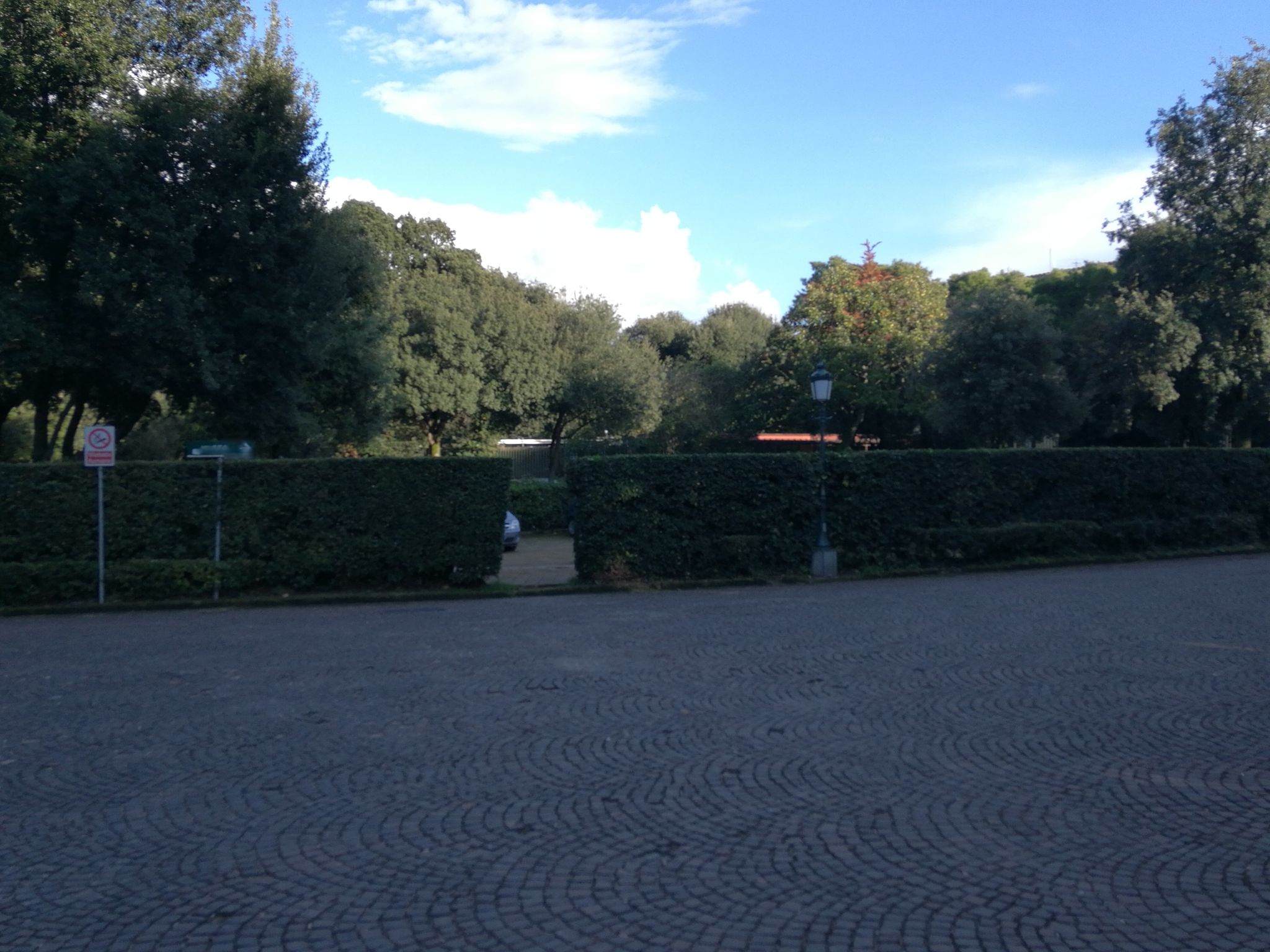 Bosco di Capodimonte Napoli - vista strada