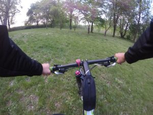Parco del Pieve – (Argenta)
