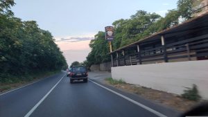 Pineta su mare – (Locri)