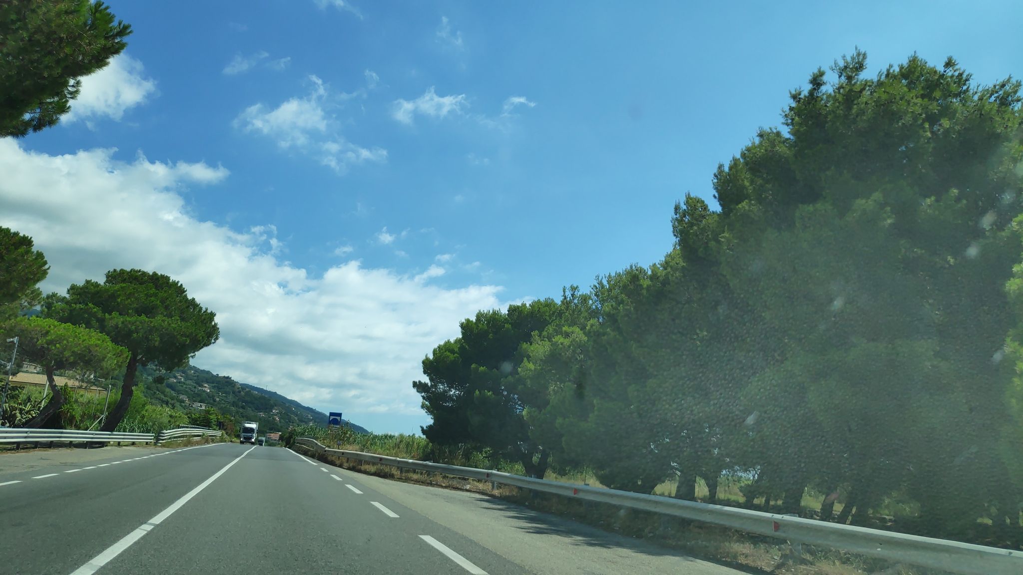 Pineta su spiaggia Fiumefreddo Bruzio - vista strada