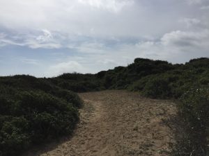 Spiagge libere di Cuma – (Pozzuoli)