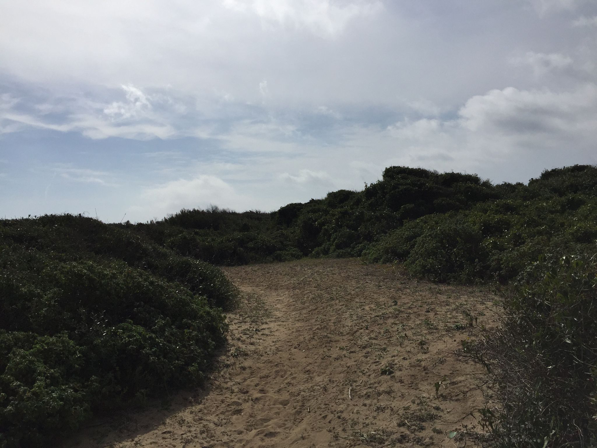 Spiagge libere di Cuma Pozzuoli - vista strada