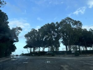 Spiaggia Squillace Staletti – (Squillace)