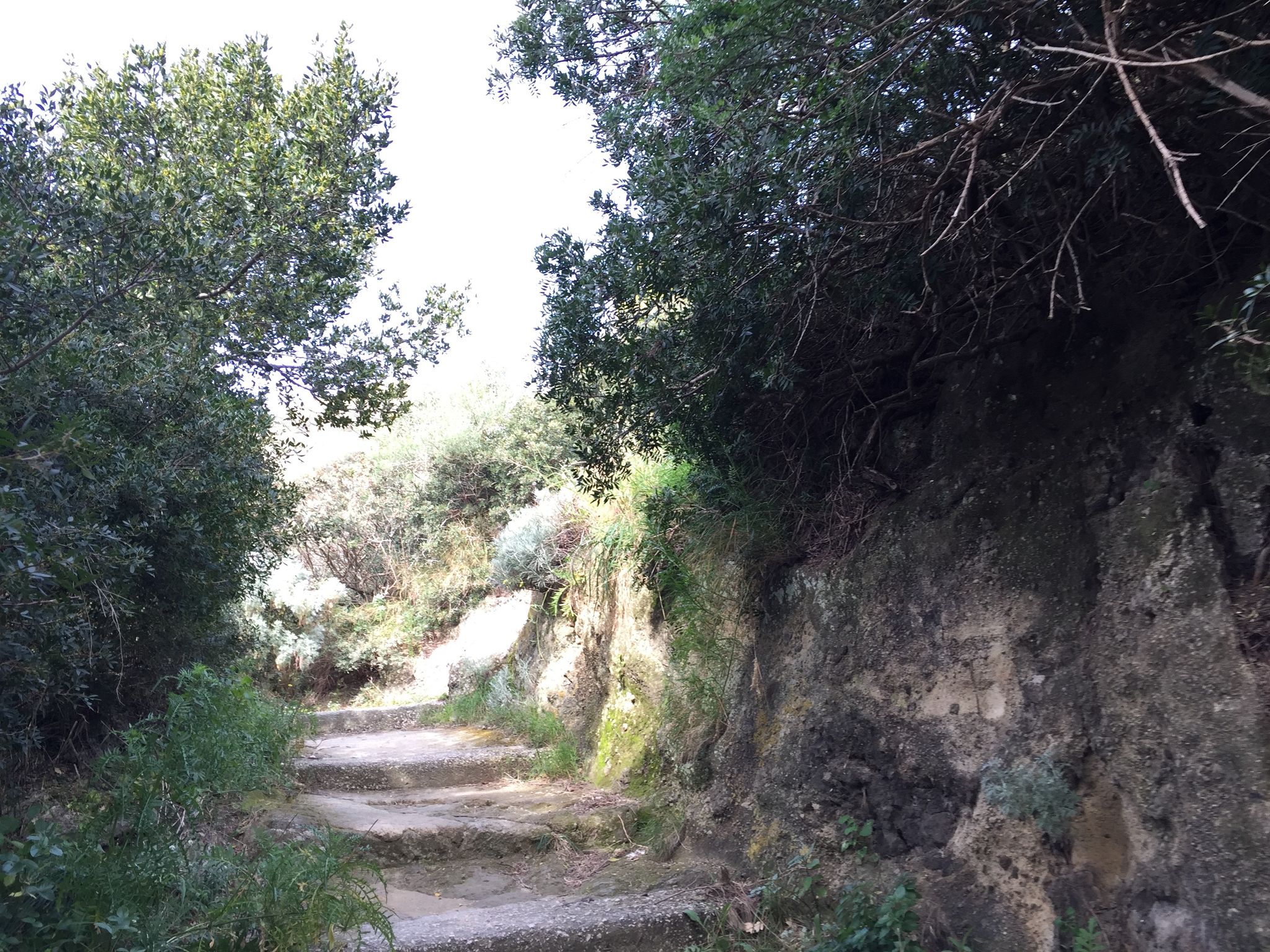 Terrazza di Capo Miseno Bacoli - vista strada